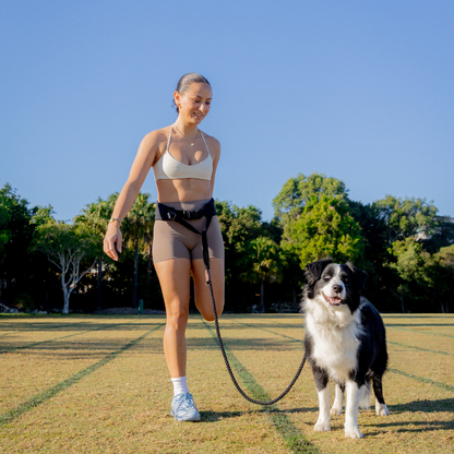 AVERO Cincha™ — Cinturón manos libres para perros