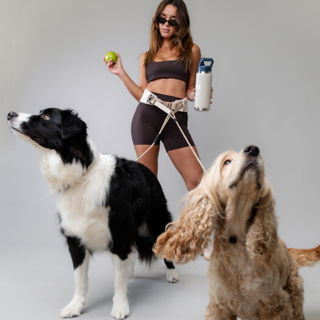 AVERO Cincha™ — Cinturón manos libres para perros