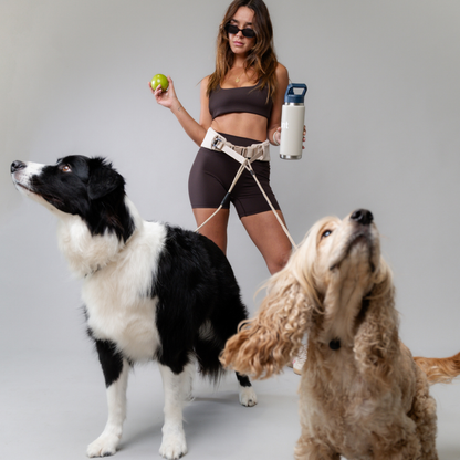AVERO Cincha™ — Cinturón manos libres para perros