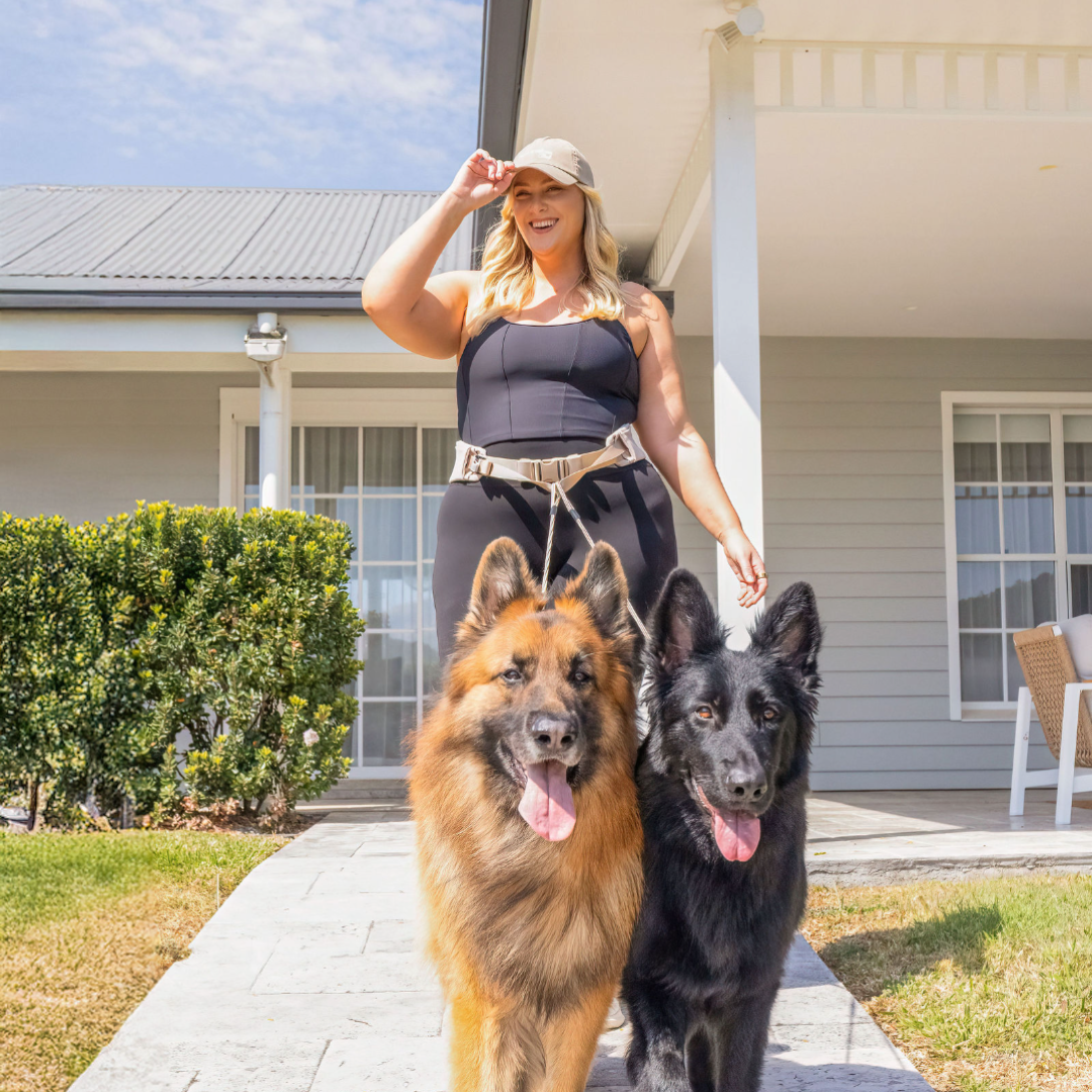 AVERO Cincha™ — Cinturón manos libres para perros